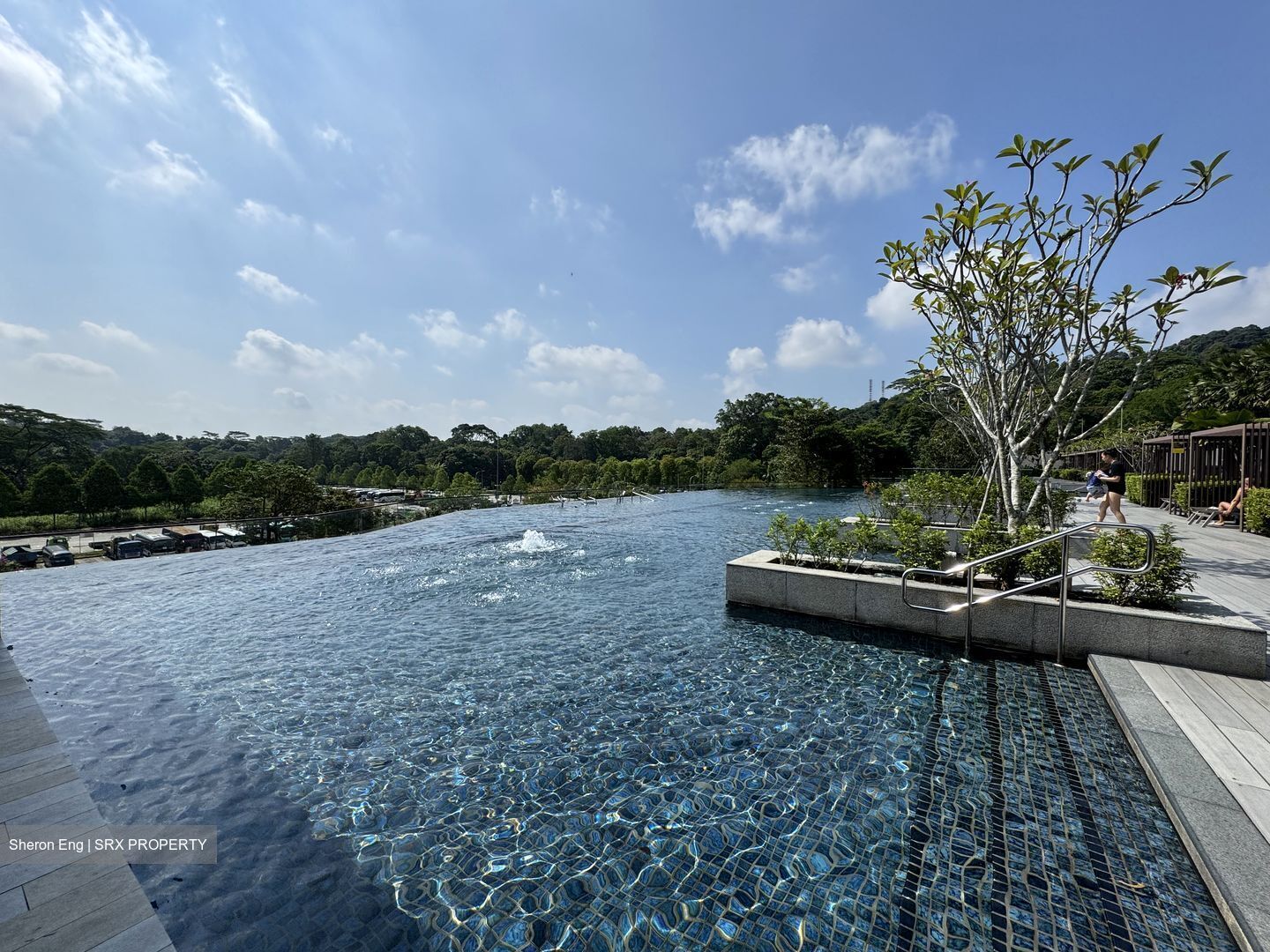Dairy Farm Residences (D23), Apartment #558539611